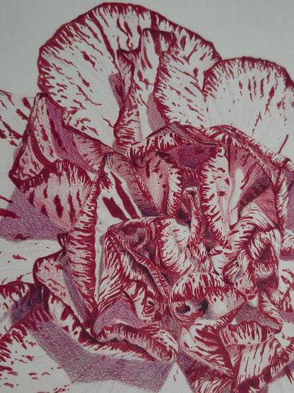"Carnation Bloom" Original
