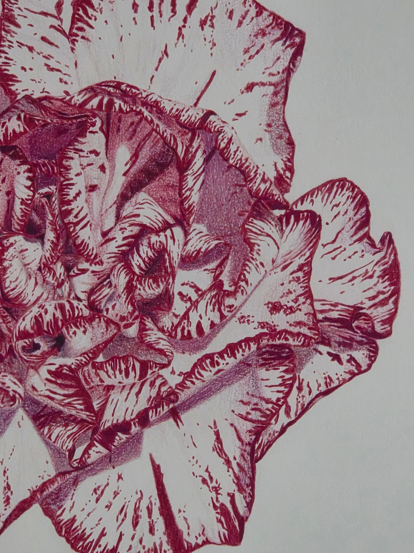 "Carnation Bloom" Original