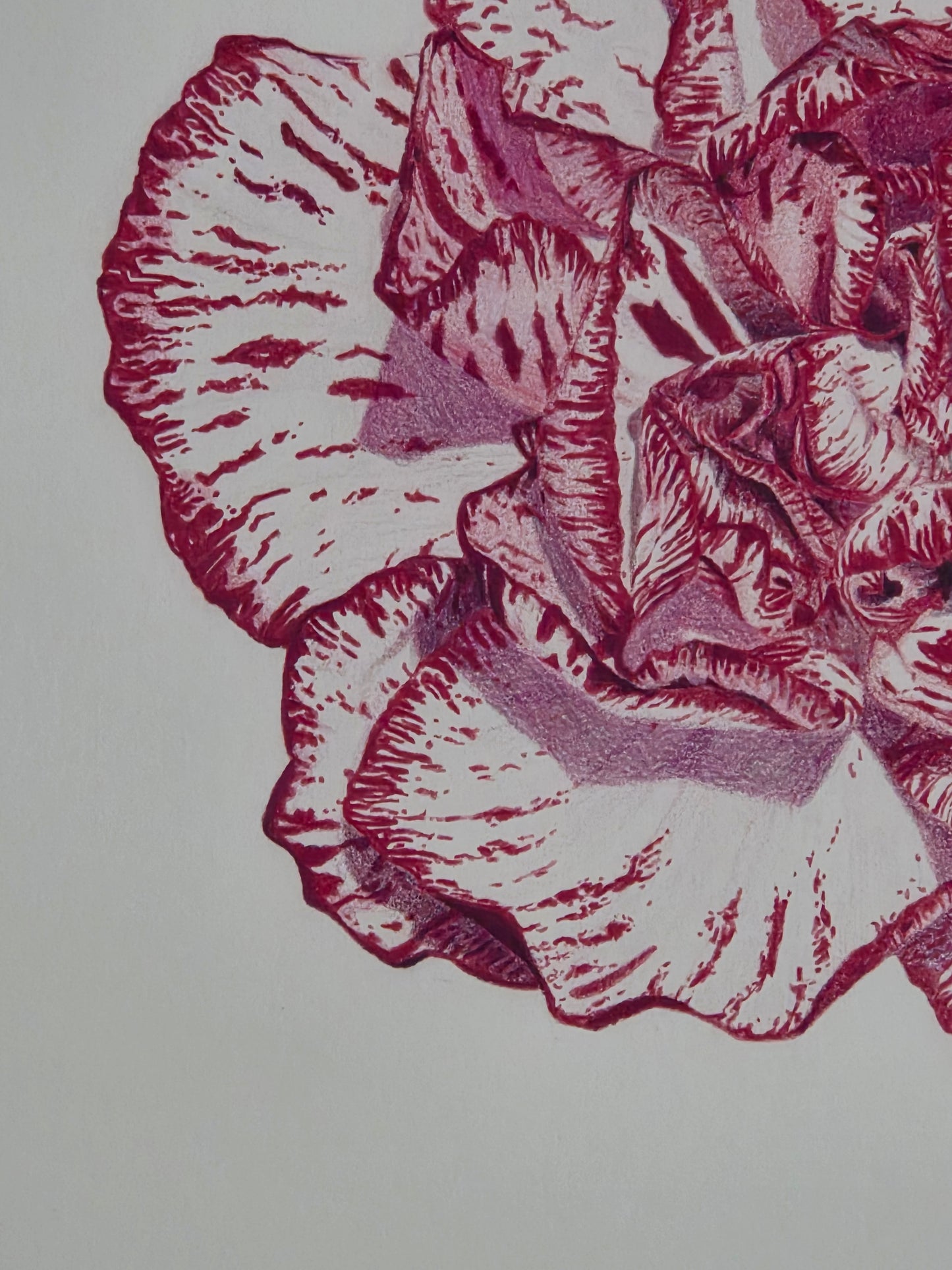 "Carnation Bloom" Original